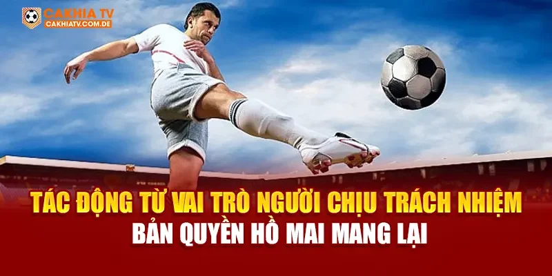 Tác động từ vai trò người chịu trách nhiệm bản quyền Hồ Mai mang lại